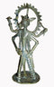 Lord Vishnu in Varaha Avtar