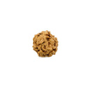 Six Face Rudraksha Bead