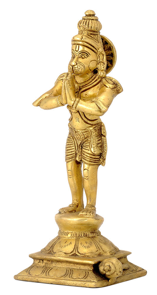Anjaneya Hanuman Ji