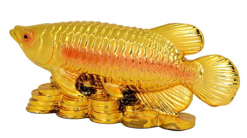 Fengshui Golden Fish with Coins