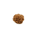 Six Faced Java Rudraksha Bead