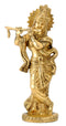 God Krishna Playing Flute