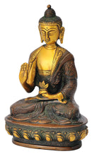 Blessing Medicine Buddha Carved Robe Statue