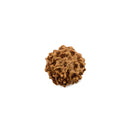 Six Faced Java Rudraksha Bead