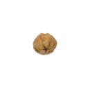 Single Face (Ek Mukhi) Rudraksha Java Origin Bead