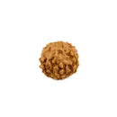 Six Faced Rudraksha Bead