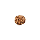 Six Mukhi Rudraksha Bead