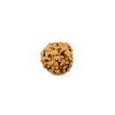 Six Face Rudraksha Bead