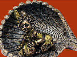 Shri Krishna Janmashtami