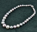 Shell Pearl Necklace "Pure Affection"