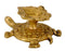 Brass Puja Diya on Tortoise