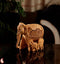 Royal Elephant Herd In Wood