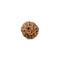 8 Mukhi Rudraksha