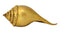 Auspicious Tortoise Stand with Brass Conch