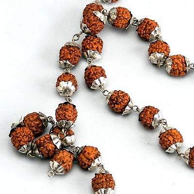 Rudraksha Mala for Puja