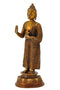 Standing Medicine Buddha with Carved Robe 7.75"