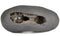 Sacred Shaligram Stone for Puja