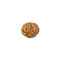 8 Faced Rudraksha