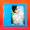 Lovely Blue Solid Acrylic Photo Frame