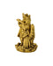 Shri Radha Krishna Standing on Lotus