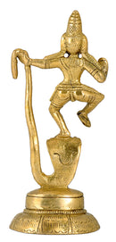 Small Krishna on Kaliya Naga