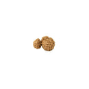 Gauri Shankar Rudraksha (code:4263)