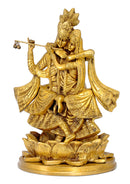 Lord Krishna and Radha in Unique Dancing Form