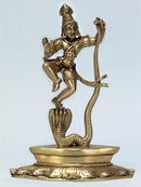 Kaliya Daman-Krishna Conquest Kalia