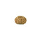 Fourteen Mukhi Rudraksha Bead from Java