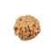 7 Mukhi Rudraksha