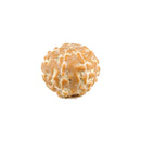 Rudraksha 7 Face