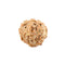 Rudraksha Bead Seven Faced