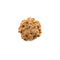 7 Mukhi Rudraksha