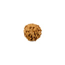 Six Faced Natural Rudraksha Bead