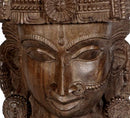 Pretty Goddess Lakshmi