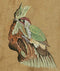 Miniature Painting 'Bird' 12.50"