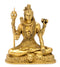 Lord Shiv Shankar Brass Murti
