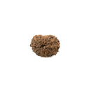 Fourteen Mukhi Java Rudraksha Bead