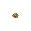 Natural Rudraksha Bead - Eight Faced