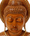 Buddha -The Awakened One