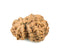 Eleven Faced Rudraksha Bead