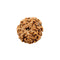 Rudraksha Bead 7 Face