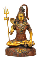 Blessing Lord Shiv Shankar