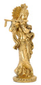 God Krishna Playing Flute