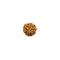 6 Mukhi Rudraksha Bead