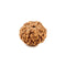 Rudraksha Bead 7 Face