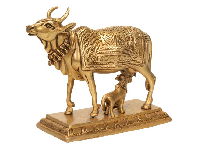 Cow - A Universal Symbol of Motherhood