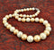 "Golden Regalia" Shell Pearl Necklace