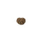 Java Rudraksha 12 Mukhi