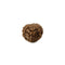 Rudraksha - 8 Faced